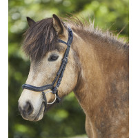 Filet Waldhausen Island anatomique Zwart / zilver Filet Waldhausen Island anatomique Zwart / zilver