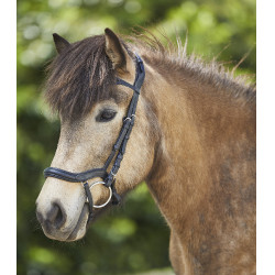 Filet Waldhausen Island anatomique Zwart / zilver