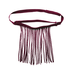 Frontal chasse-mouche Waldhausen autonome Bordeaux