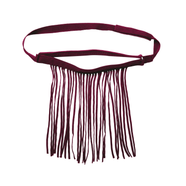 Frontal chasse-mouche Waldhausen autonome Bordeaux