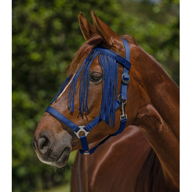 Frontal chasse-mouche Waldhausen Salon Blauw