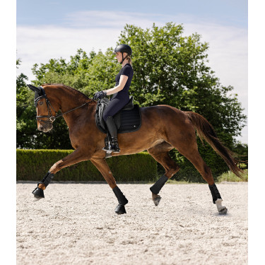 Guêtre de dressage Waldhausen Rimini Guêtre de dressage Waldhausen Rimini