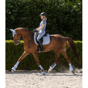 Guêtre de dressage Waldhausen Rimini Pastelblauw