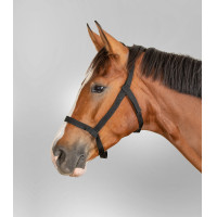 Licol de pâturage Waldhausen Zwart Licol de pâturage Waldhausen Zwart