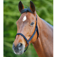 Licol de pâturage Waldhausen Nachtblauw