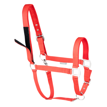 Licol de sécurité Waldhausen Rood Licol de sécurité Waldhausen Rood