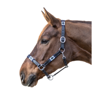 Licol en cuir Waldhausen Polo Zwart