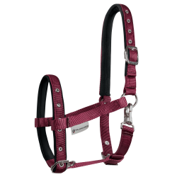 Licol Poulain Waldhausen Confort Bordeaux