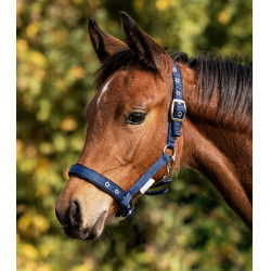 Licol Poulain Waldhausen Confort Donkerblauw