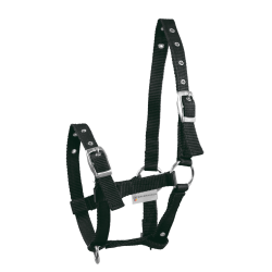 Licol Poulain Waldhausen Triple