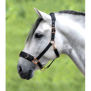 Licol pour longé Waldhausen Rosé Zwart