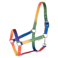 Licol Waldhause Arc-en-ciel Multicolor neon