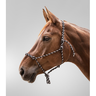 Licol Waldhausen à noeuds Zwart / wit