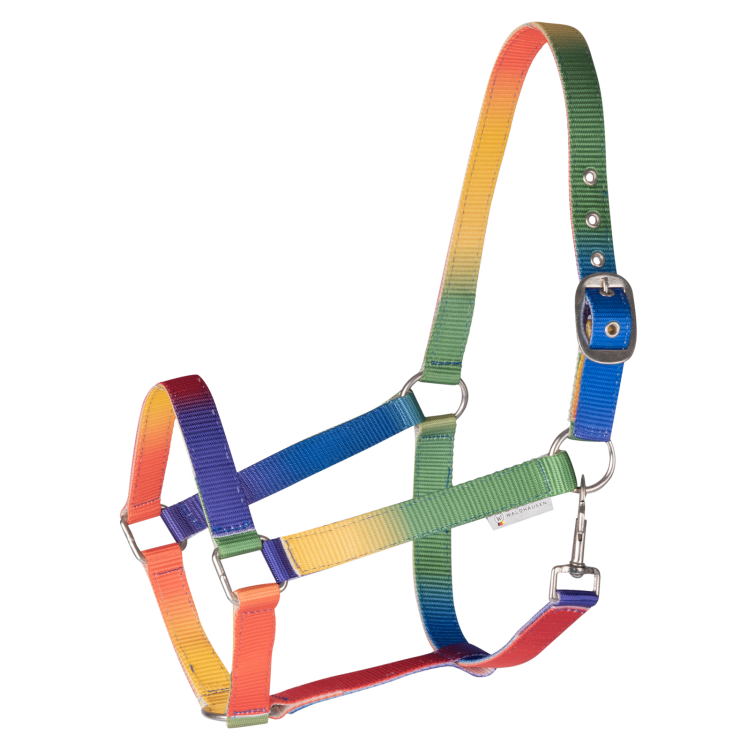 Licol Waldhausen Arc-en-ciel
