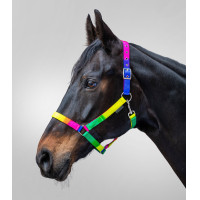 Licol Waldhausen Arc-en-ciel Multicolor neon