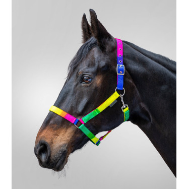 Licol Waldhausen Arc-en-ciel Multicolor neon