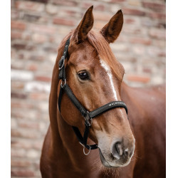 Licol Waldhausen Atheltic Zwart