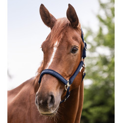 Licol Waldhausen Atheltic Nachtblauw Licol Waldhausen Atheltic Nachtblauw