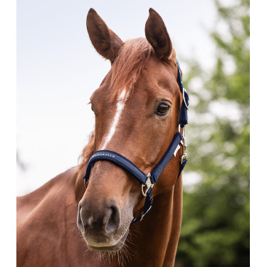 Licol Waldhausen Atheltic Nachtblauw Licol Waldhausen Atheltic Nachtblauw