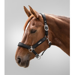 Licol Waldhausen Breath Zwart Licol Waldhausen Breath Zwart