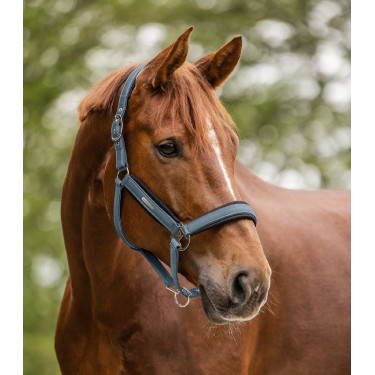 Licol Waldhausen Breath Blauw krijt