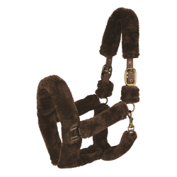 Licol Waldhausen Cozy Bruin / goud