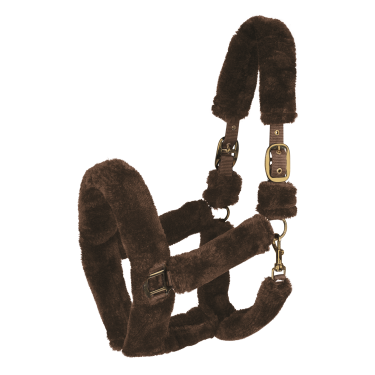 Licol Waldhausen Cozy Bruin / goud