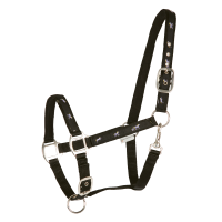 Licol Waldhausen déco Petits chevaux Zwart