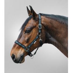 Licol Waldhausen déco Petits chevaux Zwart