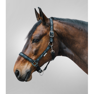 Licol Waldhausen déco Petits chevaux Zwart