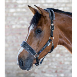 Licol Waldhausen Elegant Licol Waldhausen Elegant