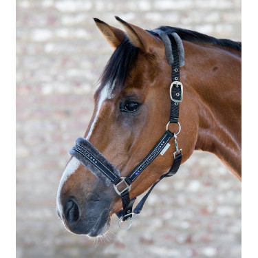 Licol Waldhausen Elegant Zwart Licol Waldhausen Elegant Zwart