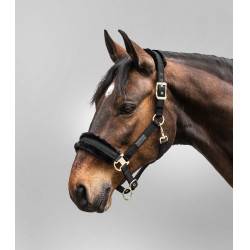 Licol Waldhausen Exclusive Zwart / zwart