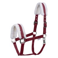 Licol Waldhausen First Zwart