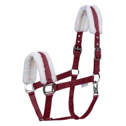 Licol Waldhausen First Bordeaux