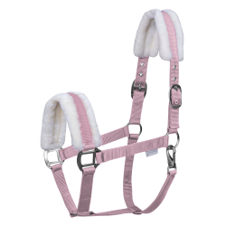 Licol Waldhausen First Kersenbloesem