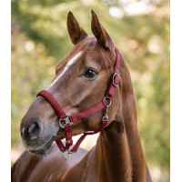 Licol Waldhausen Gloomy Bordeaux