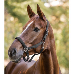 Licol Waldhausen Gloomy Grijs graniet Licol Waldhausen Gloomy Grijs graniet