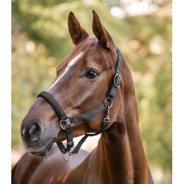 Licol Waldhausen Gloomy Grijs graniet Licol Waldhausen Gloomy Grijs graniet