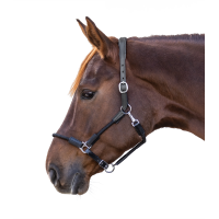 Licol Waldhausen Nevada Zwart / zilver