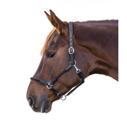 Licol Waldhausen Nevada Zwart / zilver