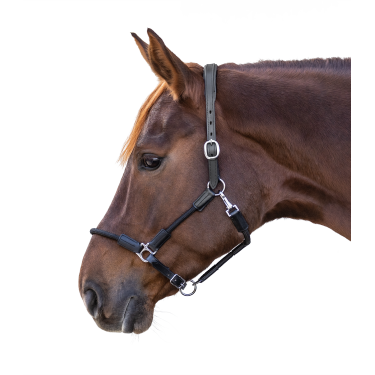 Licol Waldhausen Nevada Zwart / zilver