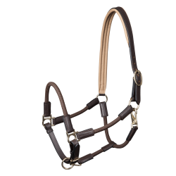 Licol Waldhausen Nevada Bruin / goud