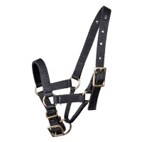 Licol Waldhausen pour alpaga Zwart