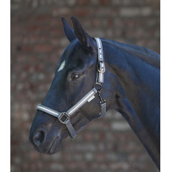 Licol Waldhausen Reflex Stripe