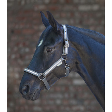Licol Waldhausen Reflex Stripe