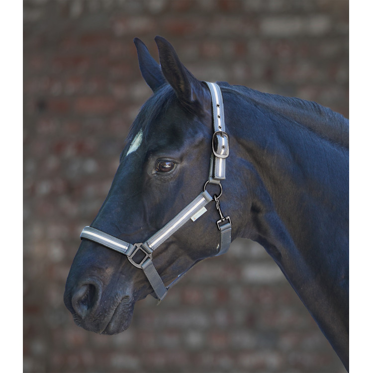 Licol Waldhausen Reflex Stripe