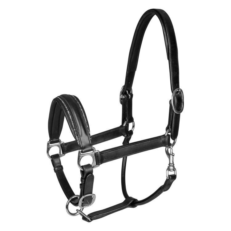 Licol Waldhausen S-Line en cuir Glamour
