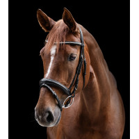 Trens Clincher Waldhausen X-Line Zwart Trens Clincher Waldhausen X-Line Zwart