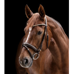 Trens Clincher Waldhausen X-Line Bruin